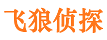 漳平市私家侦探